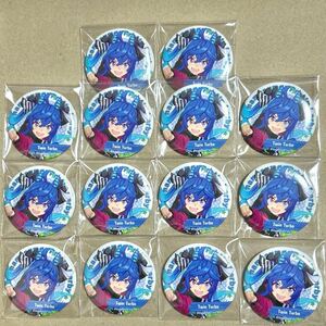 ウマ娘 プリティーダービー ツインターボ キャラバッジコレクション 缶バッジ 14個セット まとめ売り