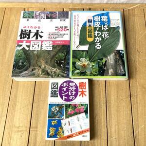 ＊樹木図鑑 3冊まとめ 樹木見分けのポイント図鑑/よくわかる樹木大図鑑/葉っぱ・花・樹皮でわかる樹木図鑑 植物 花 自然散策