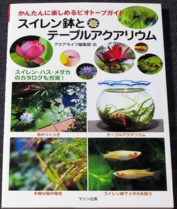 スイレン鉢とテーブルアクアリウム｜ビオトープガイド 睡蓮鉢 水生植物 水草 植え方 育て方 作り方 メンテナンス ハス#