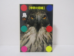SU-17925 学研の図鑑 鳥 学習研究社 本