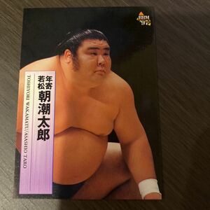 ９７ＢＢＭ　１０２　若松部屋　大関　朝潮　大相撲カード