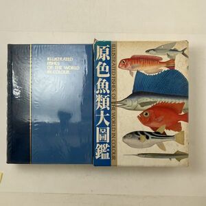 原色魚類大図鑑　北隆館　1987年初版発行　1000ページ超大容量　函、本体ビニールカバー付き　4はy