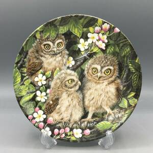 英国 ウェッジウッド コキンメフクロウ 梟 フクロウ 鳥 飾り皿 絵皿 皿 ⑤⑤⑤ (1)