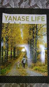 YANASE LIFE　plasir ヤナセライフ プレジール 11＋12　号 2019 夏木マリ