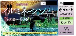 なばなの里入村券　2枚セット　2024年6月2日まで