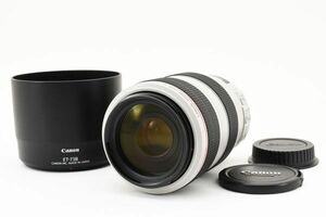 完動美品 Canon Zoom Lens EF 70-300mm F4-5.6 L IS USM 手ブレ補正機構 望遠 ズームレンズ / キヤノン EF フルサイズ対応 フード付 #8741