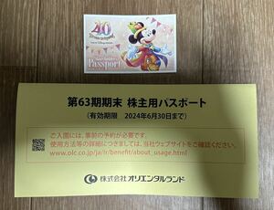 TDR 東京ディズニーリゾート1dayパスポート 株主優待 ディズニーランド ディズニーシー チケット 送料込 2024.6.30まで