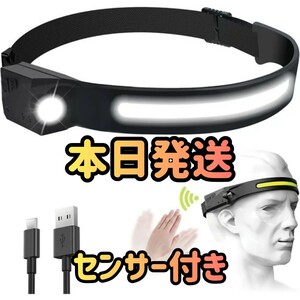 ヘッドライト ヘッドランプ ライト USB IPX4防水 350ルーメン高輝度 サイズ調節可能 軽量 LED 釣り登山 アウトドア キャンプ 災害グッズ