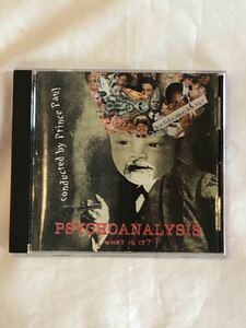 96年 PRINCE PAUL PSYCHOANALYSIS INSTRUMENTAL ALBUM アルバム CD アングラ WHAT IS IT? 90’s RZA HIPHOP WORDSOUND 廃盤 レア