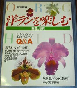 ***洋ランを楽しむ　栽培と鑑賞/朝日新聞社編/フジテレビジョン 雑誌 