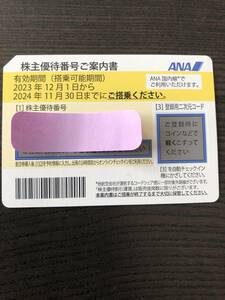 ANA 全日空株主優待券　搭乗期限2024年11月30日まで　番号通知のみ　