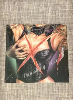 X JAPAN VANISHING VISION レコード ジャパメタ サイン