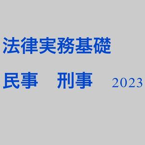 法律実務基礎　民事　刑事　予備試験 司法試験 LEC 2023