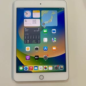 iPad mini5 64GB A2124 Wi-Fi+Cellular 7.9インチ 第5世代 2019年 本体 中古 SIMフリー 管理番:pd001