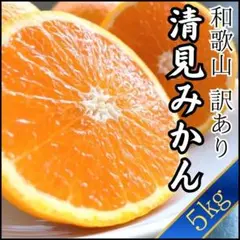 清見みかん 訳あり 5kg 和歌山県産 清見オレンジ 旬の果物