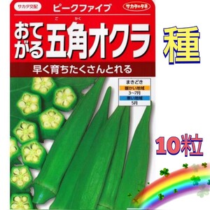 【10粒】五角オクラ『ピークファイブ』イボ少なめで肉厚な品種♪　送料73円〜