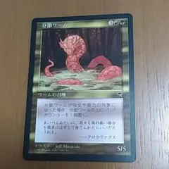 MTG 分節ワーム