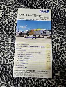 ANA　グループ優待券 1冊　 株主優待　2024年5月31日まで　