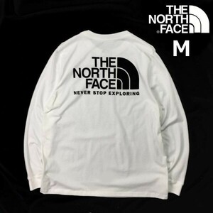 1円～!売切!【正規新品】THE NORTH FACE LONG SLEEVE THROWBACK TEE 長袖 Tシャツ ロンT US限定 バックプリント 男女兼用(M)白 180902-18