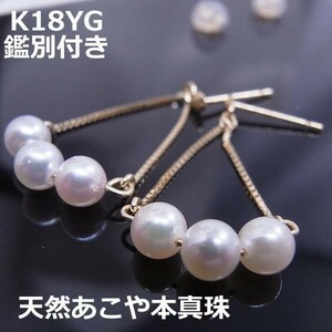 【送料無料】鑑別付K18WG天然あこや本真珠デザインピアス9951