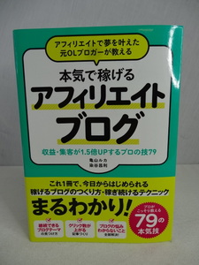 ★本気で稼げるアフィリエイトブログ 亀山ルカ 染谷昌利 ソーテック社 中古 本 送料370円