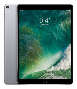 iPadPro 10.5インチ 第1世代[256GB] セルラー au スペースグレ…