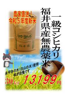 【令和5年度新米】無農薬福井県産１級コシヒカリ★約30kg玄米★エコファーマー認定　送料無料