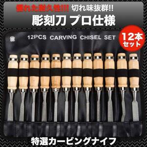 ノミ 彫刻刀 12本セット 篆刻刀 カービングナイフ 大工道具 工具 鑿 収納袋付き 削り 木工 木彫り 木像 荒削り インボイス対応