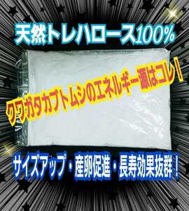 クワガタ・カブトムシの栄養源はコレ！天然トレハロース粉末☆マットや菌糸・ゼリーに混ぜるだけ！サイズアップ、産卵数アップ、長寿効果！