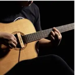 SP30 アコスティックギター用サウンドホール マグネティック・ピックアップFC