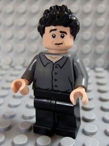 ★LEGO★ミニフィグ【Friends TV Series】Ross Geller_A(ftv001)