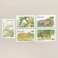 外国切手5枚（ベリーズ：小動物）