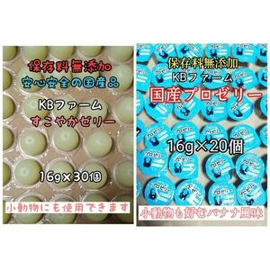 国産ゼリー KBファーム すこやかゼリー 16g 30個 プロゼリー 16g 20個 カブトムシ クワガタ 昆虫