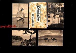 FSA0228●東京 大島風景風俗集 袋付8枚 波浮の港 娘風俗水くみ 砂漠のラクダ 牧場の娘 山羊 *傷み有り【絵葉書】