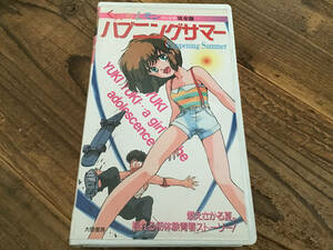 VHS/ビデオ/くりぃむレモン/ハプニングサマー/再生確認済み/国内正規品/アニメ/くりいむレモン