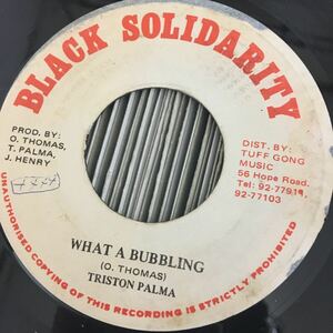 real rock trk/what a bubbling/triston palmer