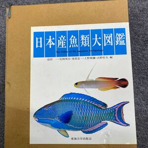 04128 中古品書籍 日本産魚類大図鑑 益田一/尼岡郁夫/荒賀忠一/上野輝彌 他 写真/画像/イラスト/解説 東海大学出版会 ※箱付き