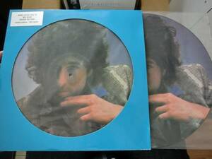 N)ピクチャー盤/Bob Dylan（ボブ・ディラン）/200枚限定 2枚組み