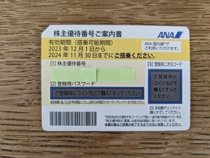 ANA 全日空株主優待券 １枚 2024年11月30日まで