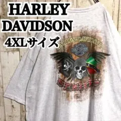 ハーレーダビッドソン 表記4XL ビッグロゴ パイレーツ 両面プリント Tシャツ