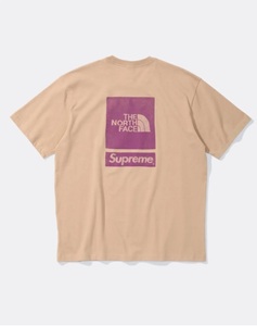 Supreme x The North Face S/S Top Mサイズ