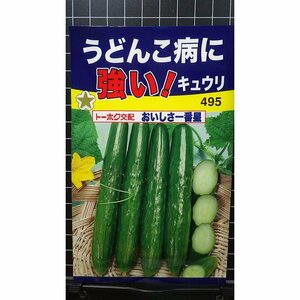 ３袋セット うどんこ病に強い キュウリ おいしさ一番星 キューリ 胡瓜 種 郵便は送料無料