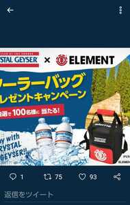 即決！　当選品　クリスタルカイザー　ELEMENT クーラーバッグ