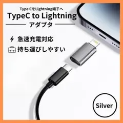 Type-C端子 変換 iPhone ライトニング シルバー