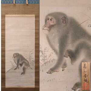 慶應◆写実動物画の大家【森狙仙(祖仙)】真筆 紙本彩色 野猿図 森公舉鑑定箱付