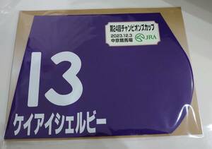 ケイアイシェルビー 2023年 チャンピオンズカップ ミニゼッケン 未開封新品 藤懸貴志騎手 平田修 亀田和弘