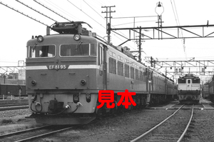 鉄道写真、35ミリネガデータ、02028390005、EF81-95、田端機関区、1983.05.01、（2615×1734）