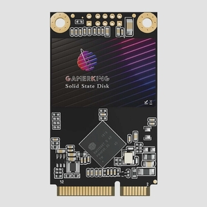 送料無料★Gamerking Msata 内蔵型SSD SATA III ハードドライブ (512GB Msata)