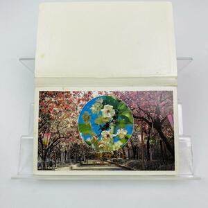 桜の通り抜け貨幣セット 今年の花 鬱金 ミントセット 1991年 平成3年 額面666円 記念硬貨 硬貨未使用 希少 造幣局 日本桜花