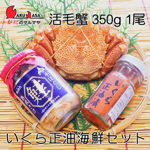 【かにのマルマサ】北海道産 活毛ガニ350g 1尾 北海道ぎょれん いくら正油漬90g 熟成鮭手ほぐし160g 海鮮セット